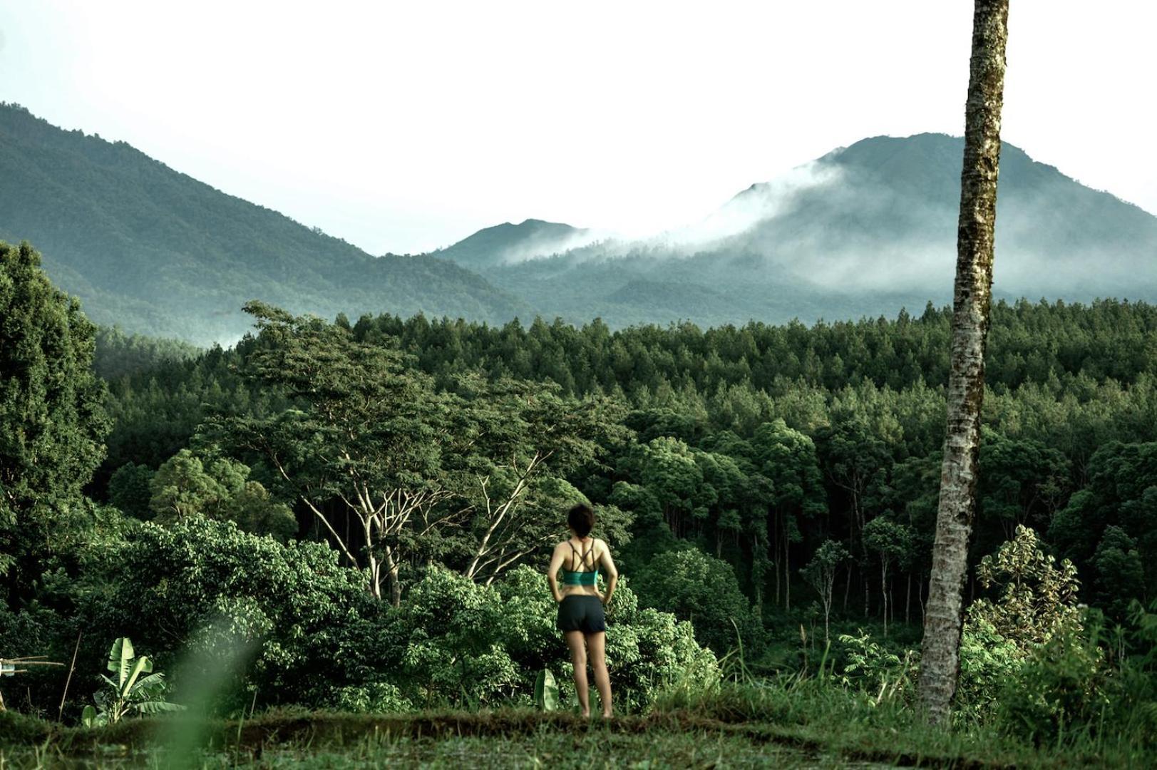 Ijen Resort And Villas - The Hidden Paradise Banyuwangi  Ngoại thất bức ảnh